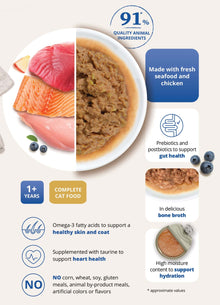 Catit Recipes Skin & Coat Can Food