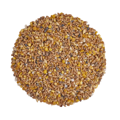 Scratch & Peck - Organic Layer Mash 18% - 40lb