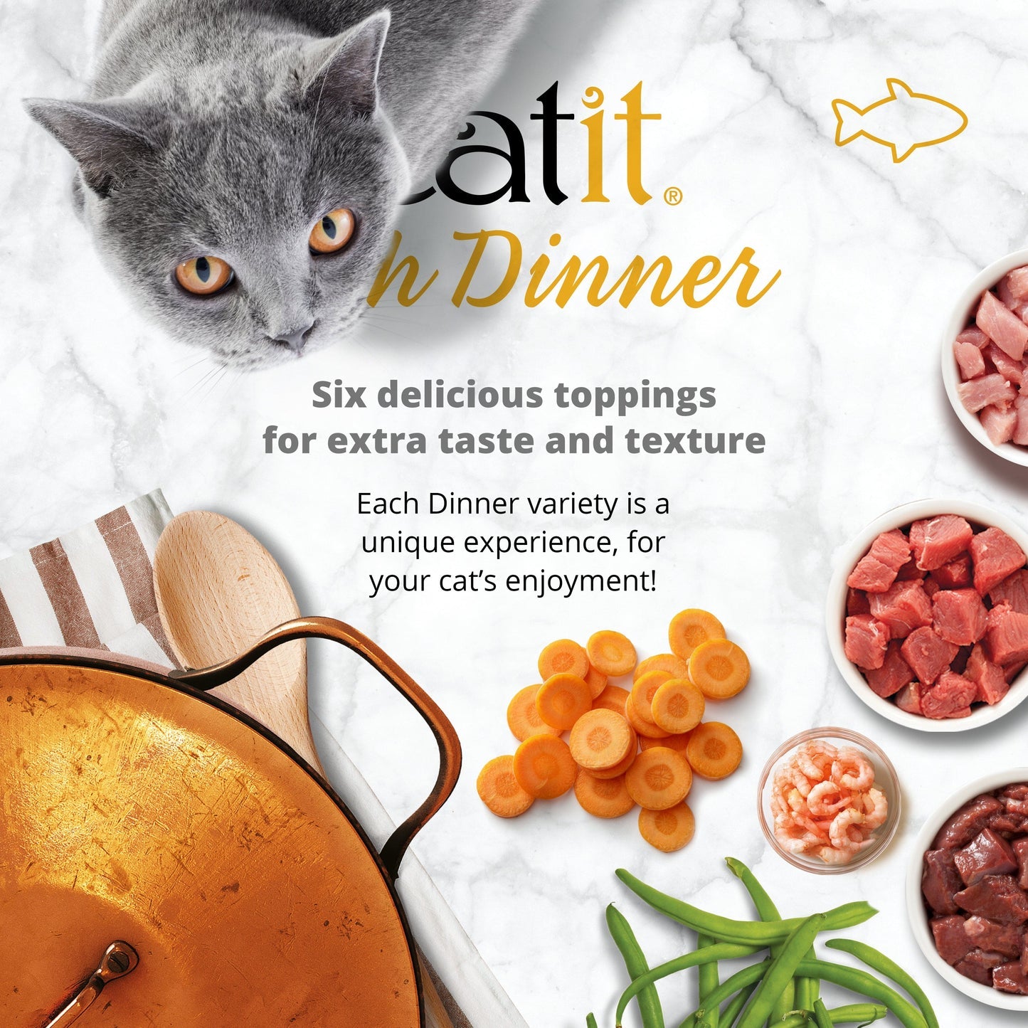 Catit Fish Dinner