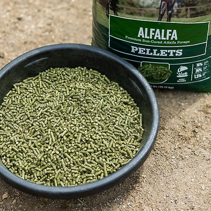 Premium Alfalfa Hay Pellet - Standlee Premium Western Forage  Horse Feed, 40 lb.