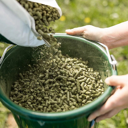 Timothy Grass Hay Pellet Standlee Premium Western Forage Certified Horse Feed, 40 lb.