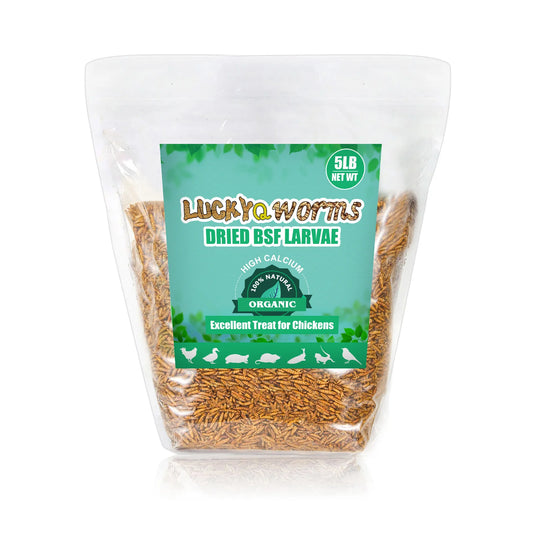 LuckyQWorms - Black Soldier Fly Larvae