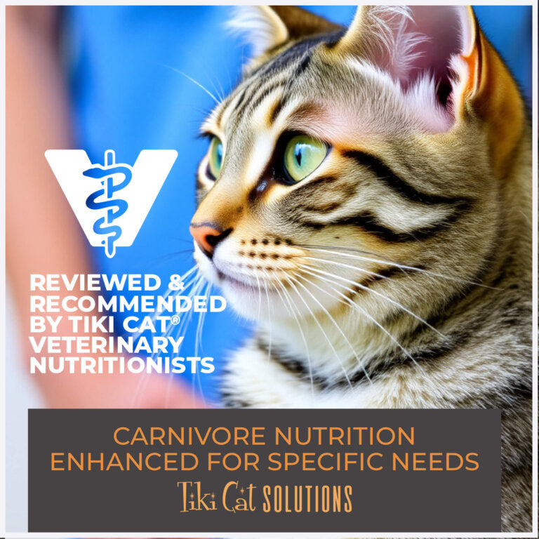 Tiki Cat® Solutions™ - Liquid Meal Replacer