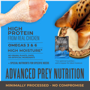 Tiki Cat® Solutions™ Baked Kibble - Mineral Balance