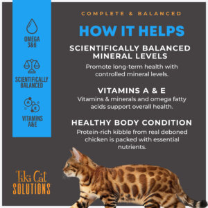 Tiki Cat® Solutions™ Baked Kibble - Mineral Balance