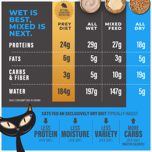 Tiki Cat® Solutions™ Baked Kibble - Mineral Balance