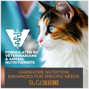 Tiki Cat® Solutions™ Baked Kibble - Digestion