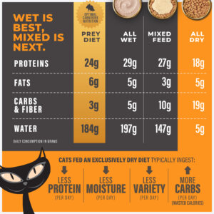 Tiki Cat® Solutions™ Baked Kibble - Digestion