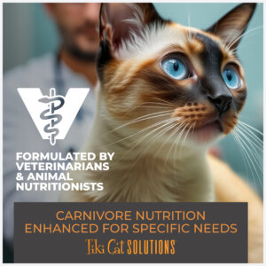 Tiki Cat® Solutions™ Baked Kibble - Mobility