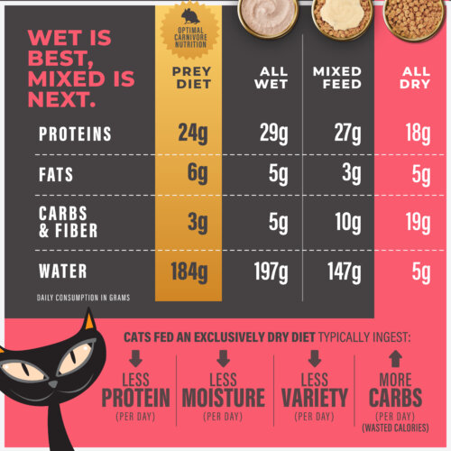 Tiki Cat® Solutions™ Baked Kibble - Mobility