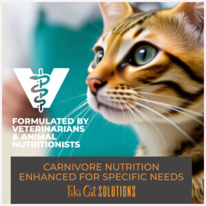 Tiki Cat® Solutions™ Mousse - Dental