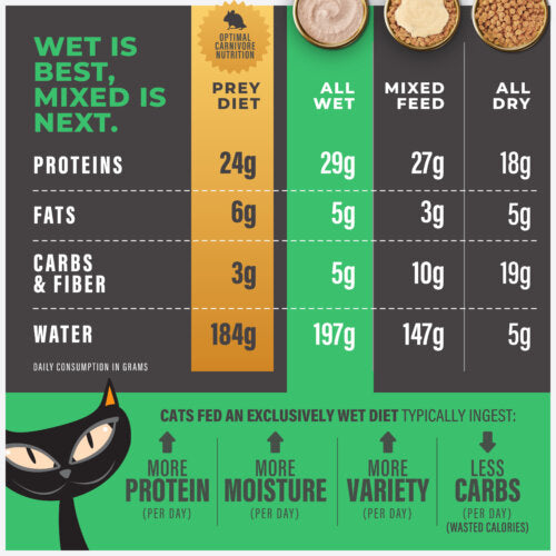 Tiki Cat® Solutions™ Mousse - Dental