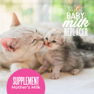 Tiki Cat® Baby