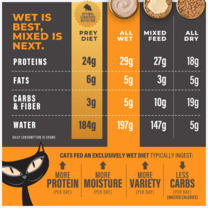 Tiki Cat® Solutions™ Mousse - Digestion