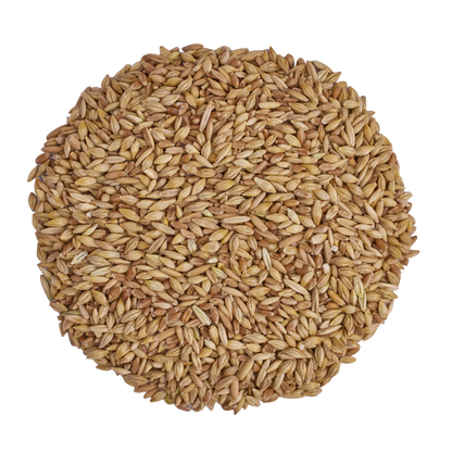 Scratch & Peck - Organic 3 Grain Scratch - 10lb