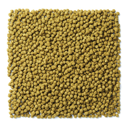 NutriBlend