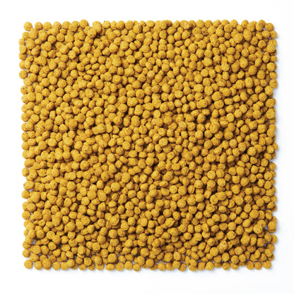 NutriBlend