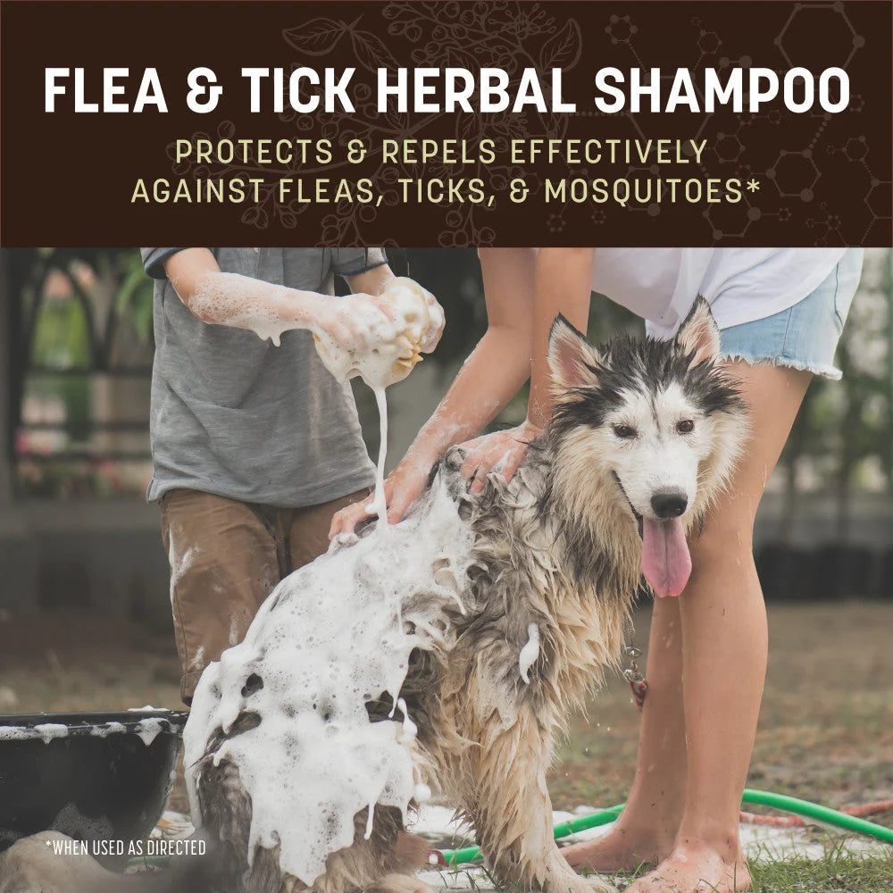 Earth Animal Flea & Tick Herbal Shampoo
