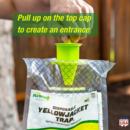 Rescue! Disposable Yellow Jacket Trap