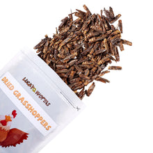 LuckyQWorms - Dried Grasshoppers - 1lb