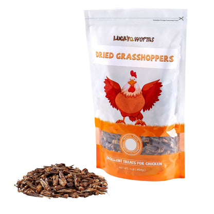 LuckyQWorms - Dried Grasshoppers - 1lb