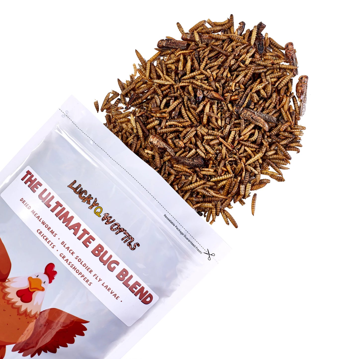 LuckyQWorms - The Ultimate Bug Blend - 1lb