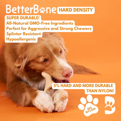 BetterBone Hard Durability Chew Toy