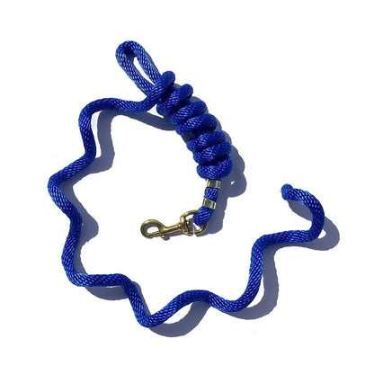 Poly Lead with Brass Plated Bolt Snap 5/8" x 9'