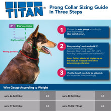 Titan Dog Prong Training Collar - Chrome