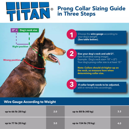 Titan Dog Prong Training Collar - Chrome
