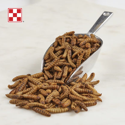 Farm to Flock - Hen Treats - Larvae for Ladies - 3lb