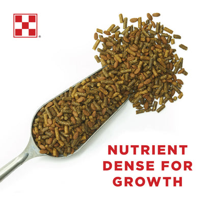 Ultium Growth