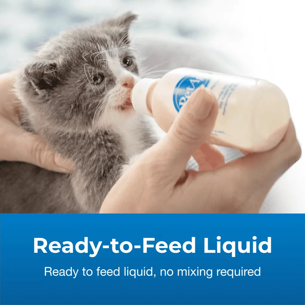 Kitten Milk Replacer with Goat Milk for Newborn to 6 weeks