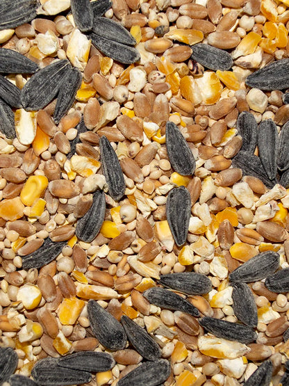 Backyard Delight - Wild Bird Seed - 20lb