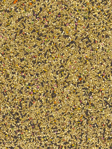 Canary Diet Fortified - Bird's Delight