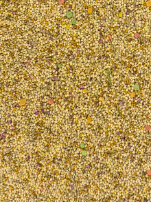 Parakeet Diet Fortified - Bird's Delight