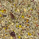 Parrot with Safflower Fortified - Bird's Delight