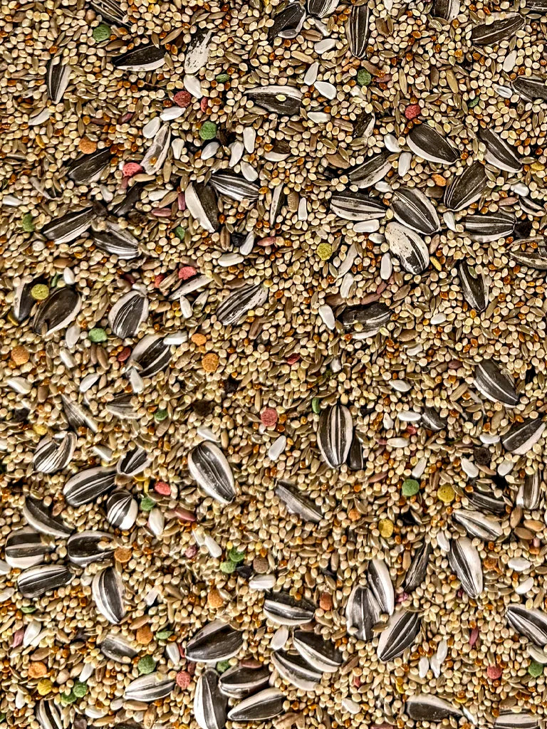 Small Hookbill Diet Fortified - Bird's Delight