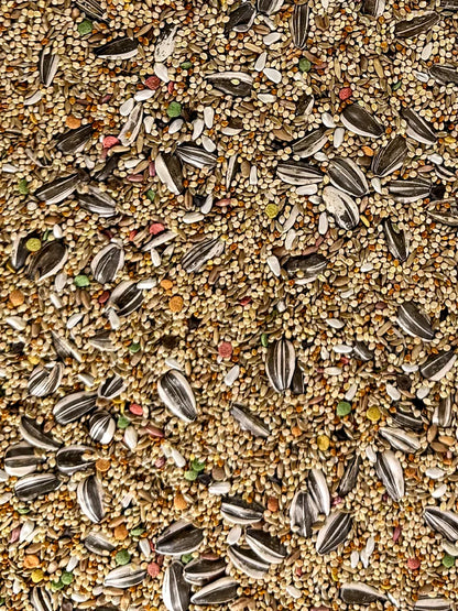 Small Hookbill Diet Fortified - Bird's Delight