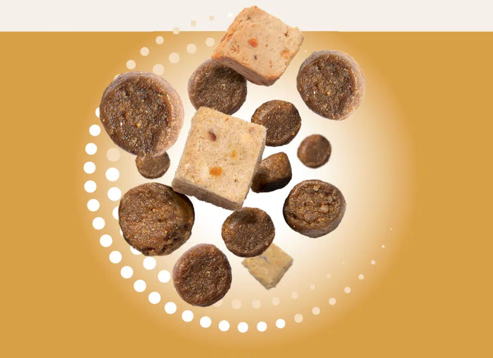 Catit Recipes Double Fusion Senior