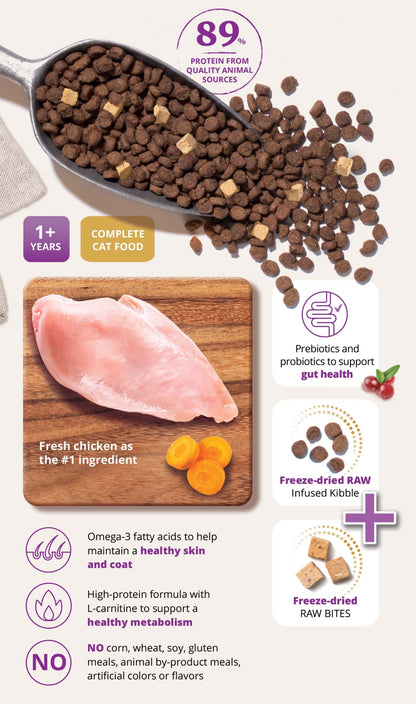 Catit Recipes Double Fusion Indoor