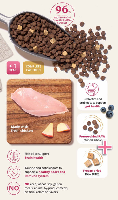 Catit Recipes Double Fusion Kitten