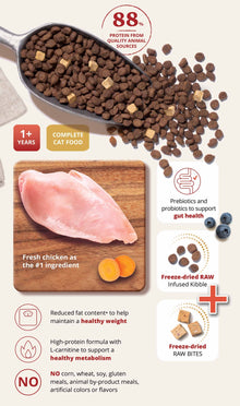 Catit Recipes Double Fusion Weight Control