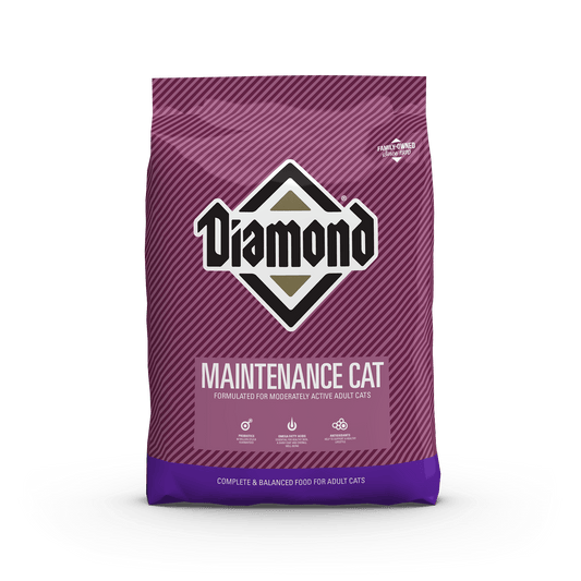 Diamond Maintenance Cat