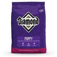 Diamond Puppy