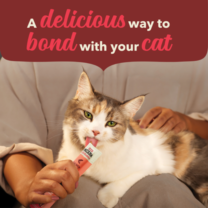 Acana Cat - Lickables