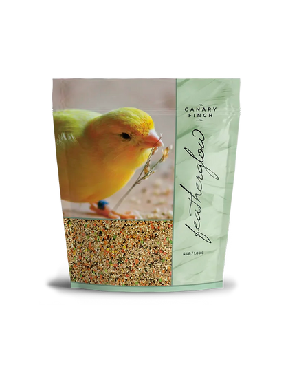Featherglow Canary / Finch