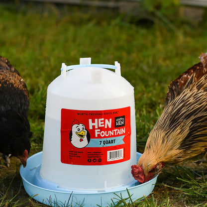 Happy Hen Fountain