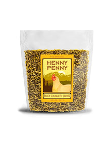 Henny Penny - Black Soldier Fly