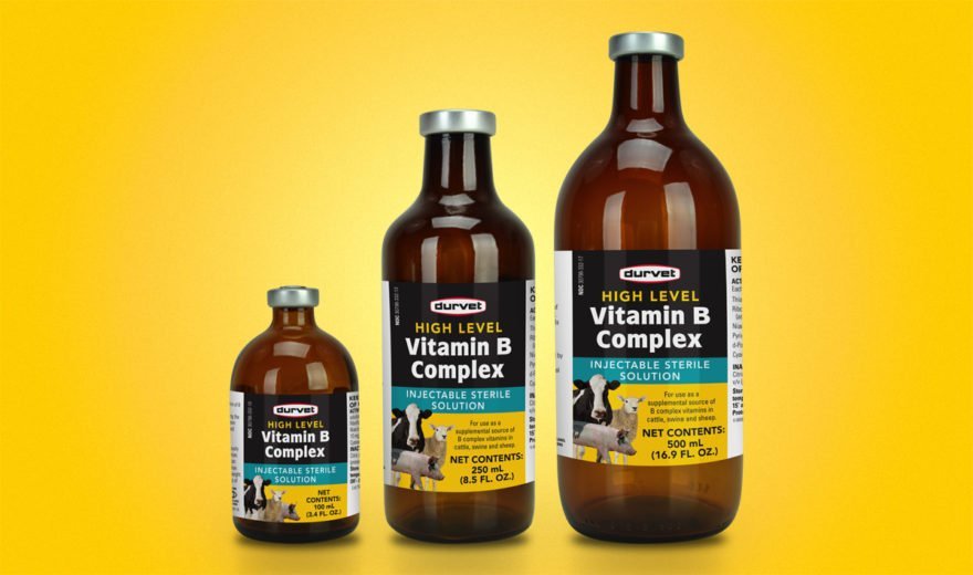 Vitamin B Complex- Injectable – Gilroy Farmers Supply